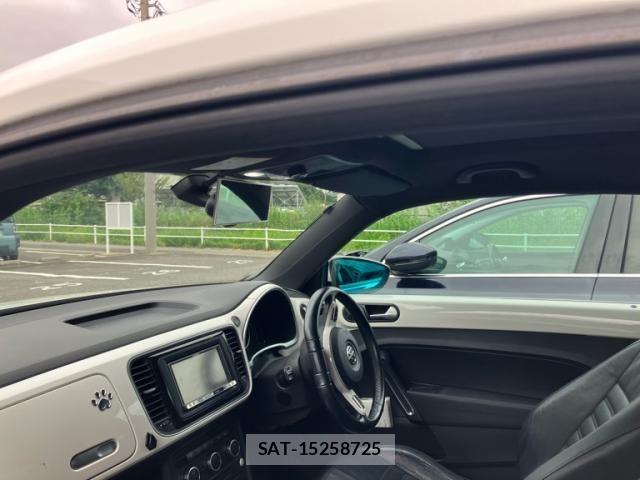 VolksWagen THE BEETLE 2013-06 8782639-8