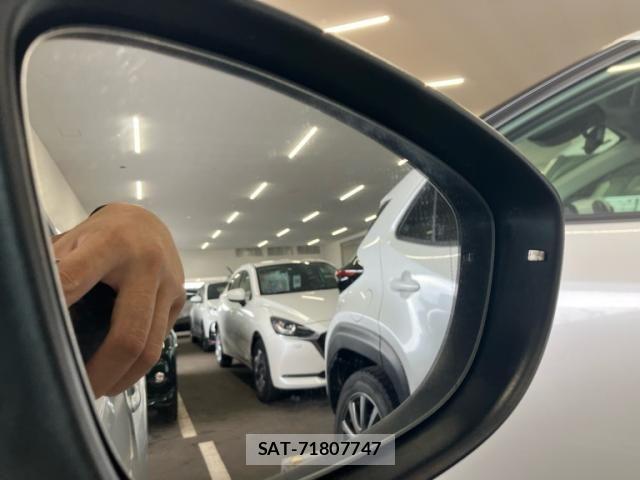 VolksWagen THE BEETLE 2013-03 8884621-21