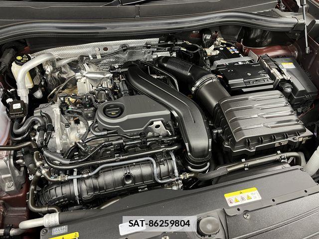 VolksWagen TIGUAN 2024-11 7981588-12