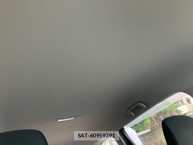 Toyota WISH 2010-02 7621487-22