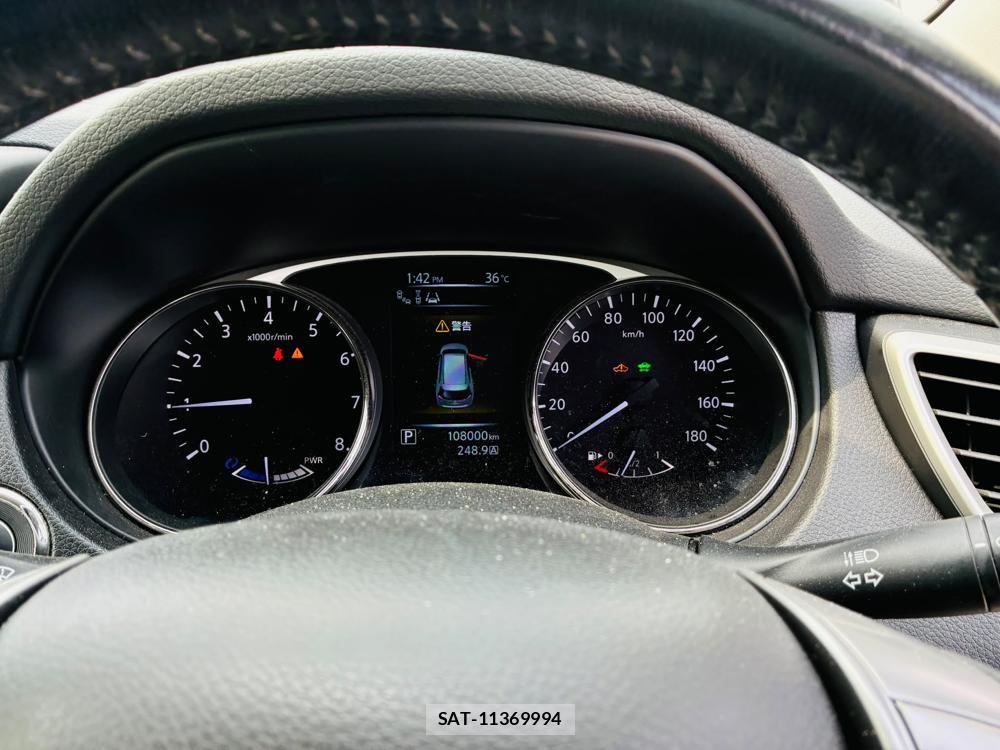 Nissan X-TRAIL 2015-08 8300321-15