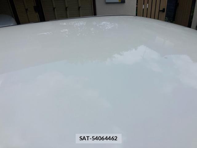 Nissan X-TRAIL 2016-10 8747017-21