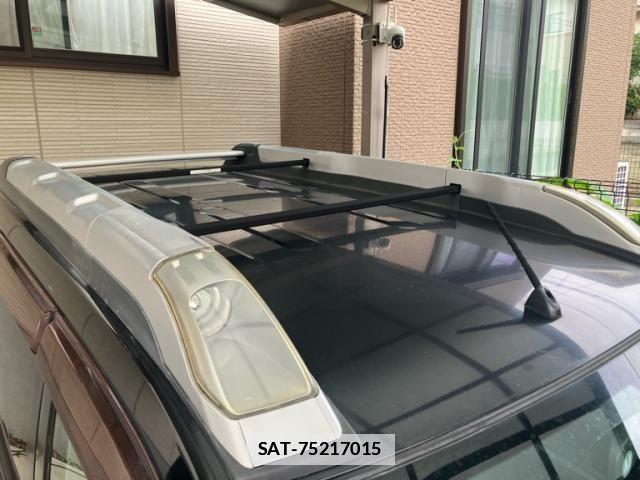 Nissan X-TRAIL 2009-05 7981661-6