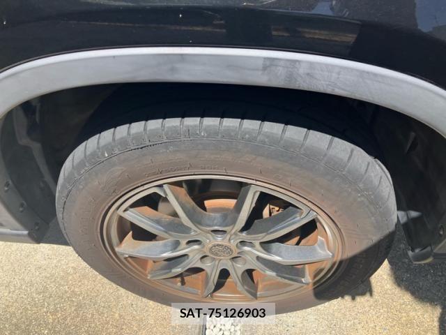 Nissan X-TRAIL 2008-03 8039406-3