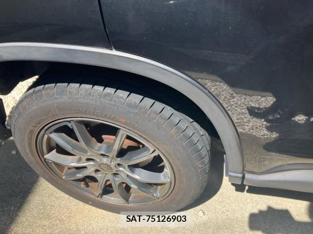 Nissan X-TRAIL 2008-03 8039406-5