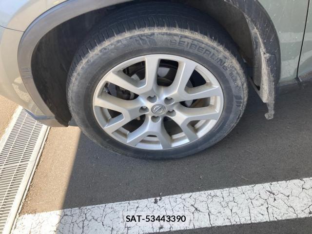 Nissan X-TRAIL 2010-11 8318287-5