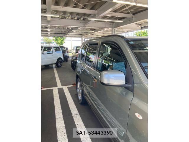 Nissan X-TRAIL 2010-11 8318287-6