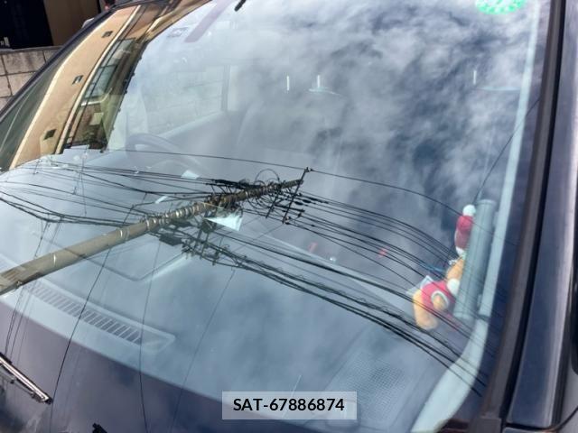 Nissan X-TRAIL 2009-09 8439158-8