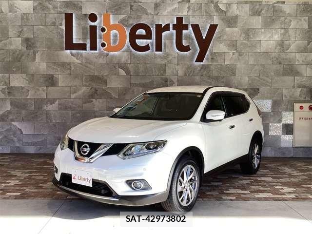Nissan X-TRAIL 2017-05 8629941-0