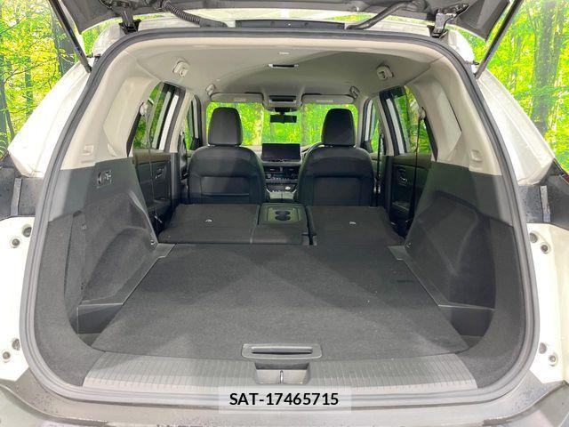 Nissan X-TRAIL HYBRID 2023-10 7621574-9