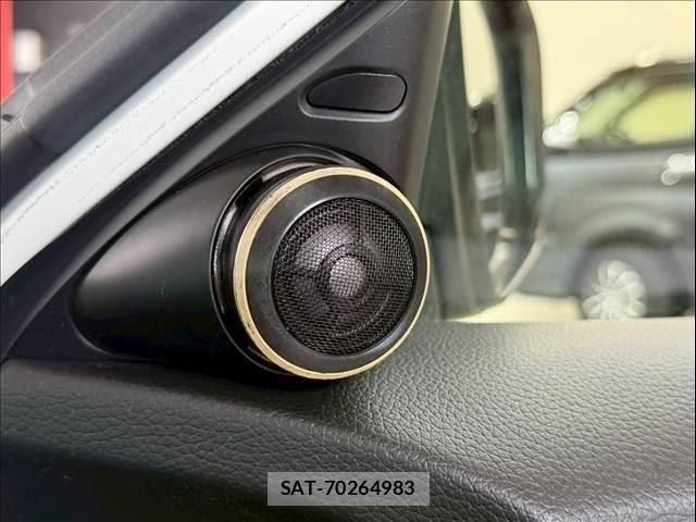 Nissan X-TRAIL HYBRID 2017-05 8039418-27