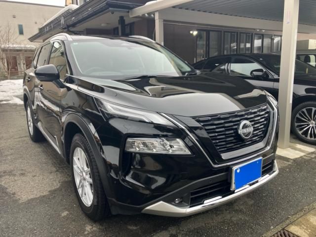 Nissan X-TRAIL HYBRID 2022-07 3688935-1