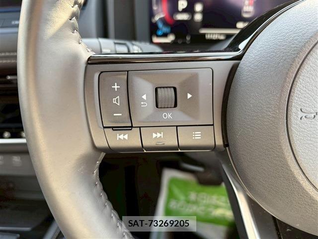 Nissan X-TRAIL HYBRID 2025-02 4334032-18