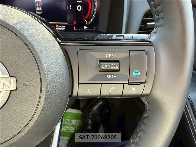 Nissan X-TRAIL HYBRID 2025-02 4334032-19
