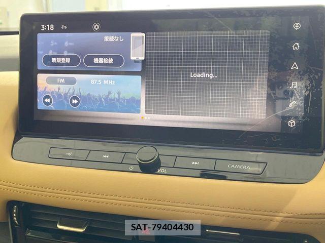 Nissan X-TRAIL HYBRID 2023-02 5883767-3