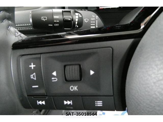 Nissan X-TRAIL HYBRID 2024-02 6248580-22