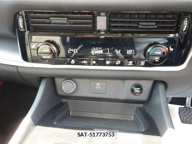 Nissan X-TRAIL HYBRID 2025-09 6615911-21