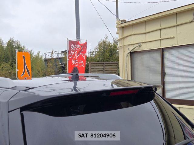 Nissan X-TRAIL HYBRID 2016-12 6754039-12