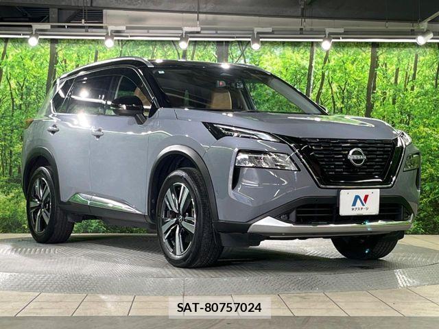 Nissan X-TRAIL HYBRID 2022-07 7021957-15