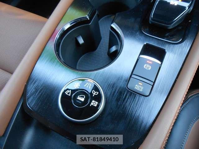 Nissan X-TRAIL HYBRID 2025-10 7227679-5