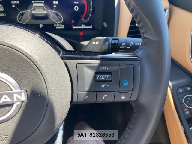Nissan X-TRAIL HYBRID 2024-03 7227676-5