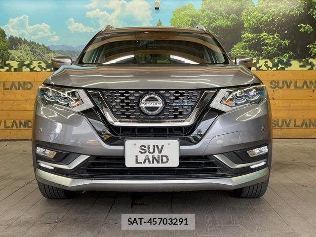 Nissan X-TRAIL HYBRID 2019-08 7227657-13