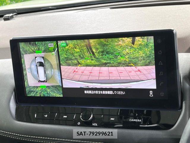 Nissan X-TRAIL HYBRID 2024-05 7252967-3