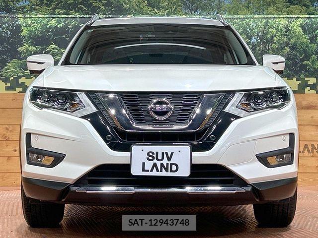 Nissan X-TRAIL HYBRID 2018-01 7360624-13