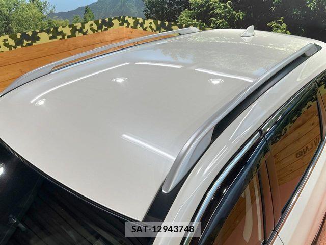 Nissan X-TRAIL HYBRID 2018-01 7360624-4