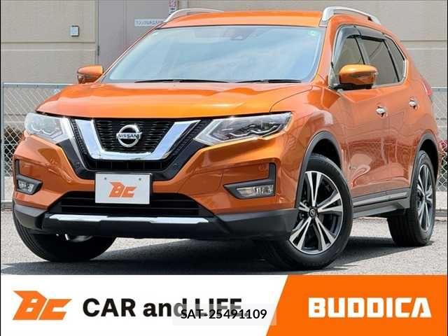 Nissan X-TRAIL HYBRID 2017-06 7395032-0
