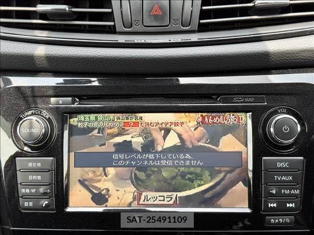 Nissan X-TRAIL HYBRID 2017-06 7395032-2
