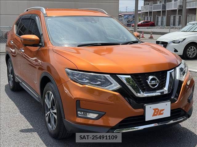 Nissan X-TRAIL HYBRID 2017-06 7395032-4