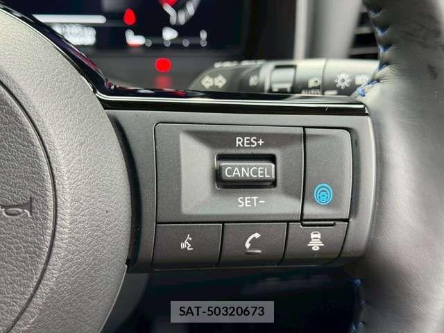 Nissan X-TRAIL HYBRID 2025-05 7395029-12