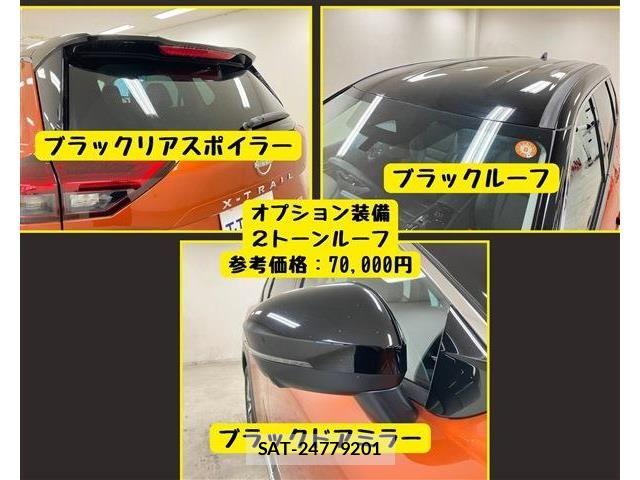 Nissan X-TRAIL HYBRID 2023-06 7459095-4