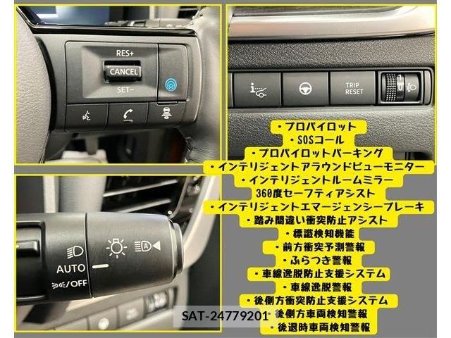 Nissan X-TRAIL HYBRID 2023-06 7459095-5