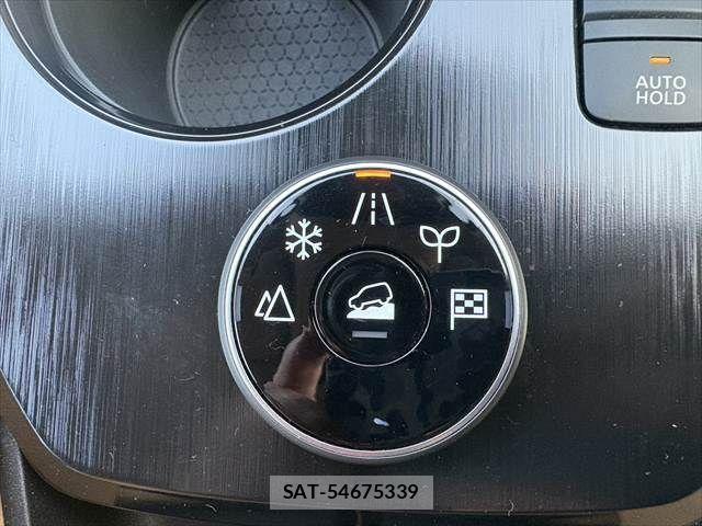 Nissan X-TRAIL HYBRID 2023-01 7459094-6