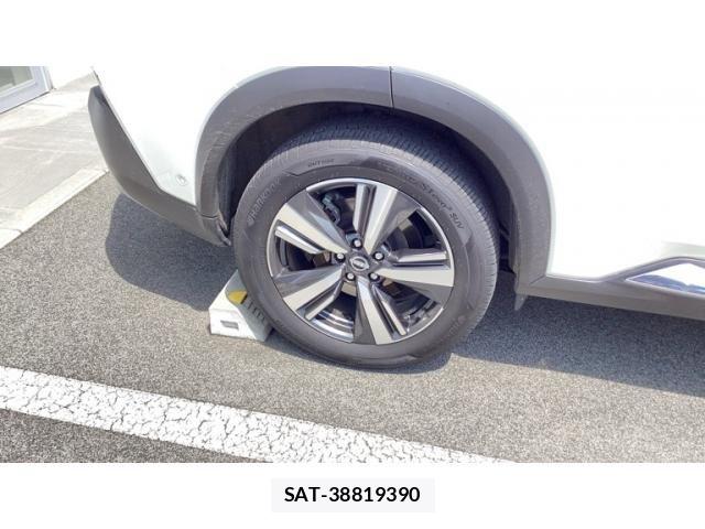 Nissan X-TRAIL HYBRID 2025-01 8076256-4