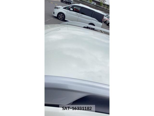 Nissan X-TRAIL HYBRID 2019-09 8318304-4