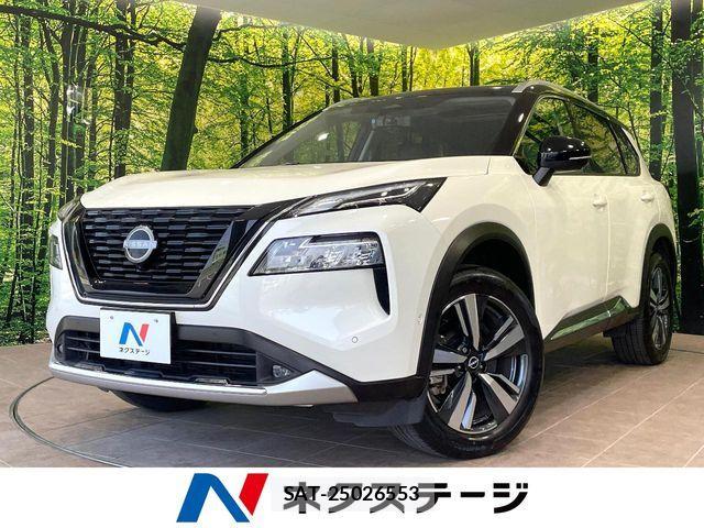 Nissan X-TRAIL HYBRID 2023-06 8318295-0