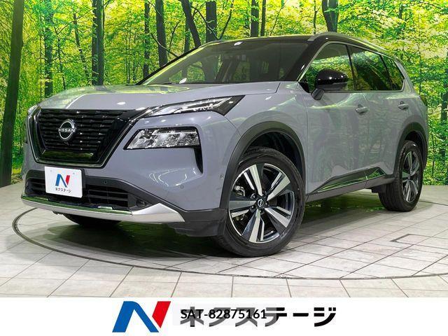Nissan X-TRAIL HYBRID 2022-11 8338646-0