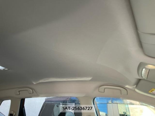 Nissan X-TRAIL HYBRID 2017-06 8369970-16