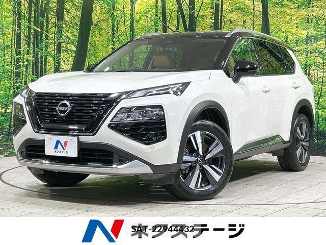 Nissan X-TRAIL HYBRID 2023-10 8439168-0