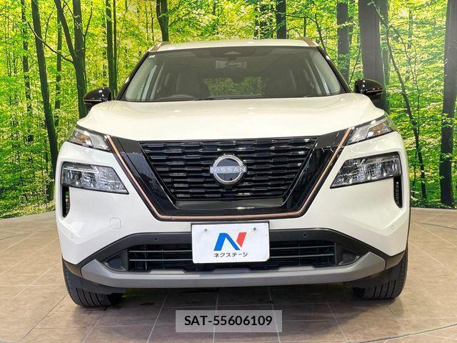 Nissan X-TRAIL HYBRID 2024-07 8439170-12