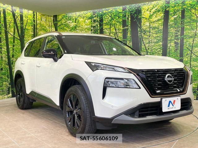 Nissan X-TRAIL HYBRID 2024-07 8439170-14
