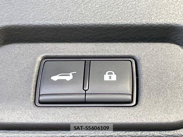 Nissan X-TRAIL HYBRID 2024-07 8439170-19