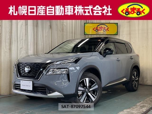 Nissan X-TRAIL HYBRID 2022-12 8564208-0