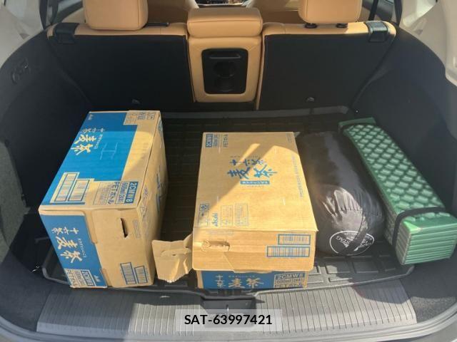 Nissan X-TRAIL HYBRID 2024-09 8629969-17