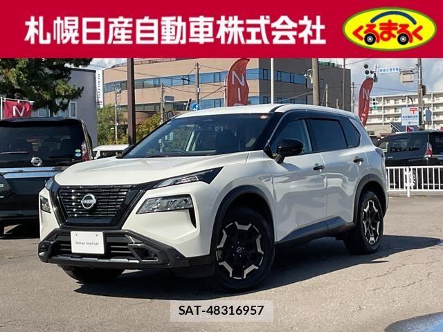Nissan X-TRAIL HYBRID 2022-11 8662623-0