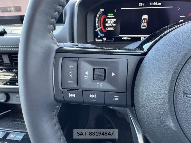 Nissan X-TRAIL HYBRID 2024-05 8662601-21
