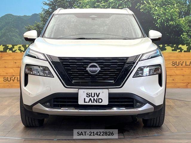 Nissan X-TRAIL HYBRID 2024-06 8667208-13